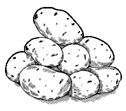 Странствия по рецептам мира. Сделаем все быстро, просто и вкусно! - i_007.jpg