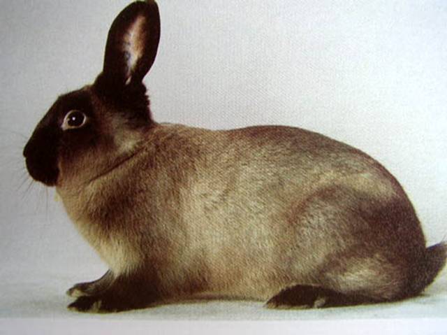 СССР: вернуться в детство 5 - img_3