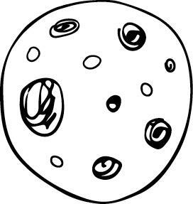 Экземпляр (СИ) - i_007.jpg