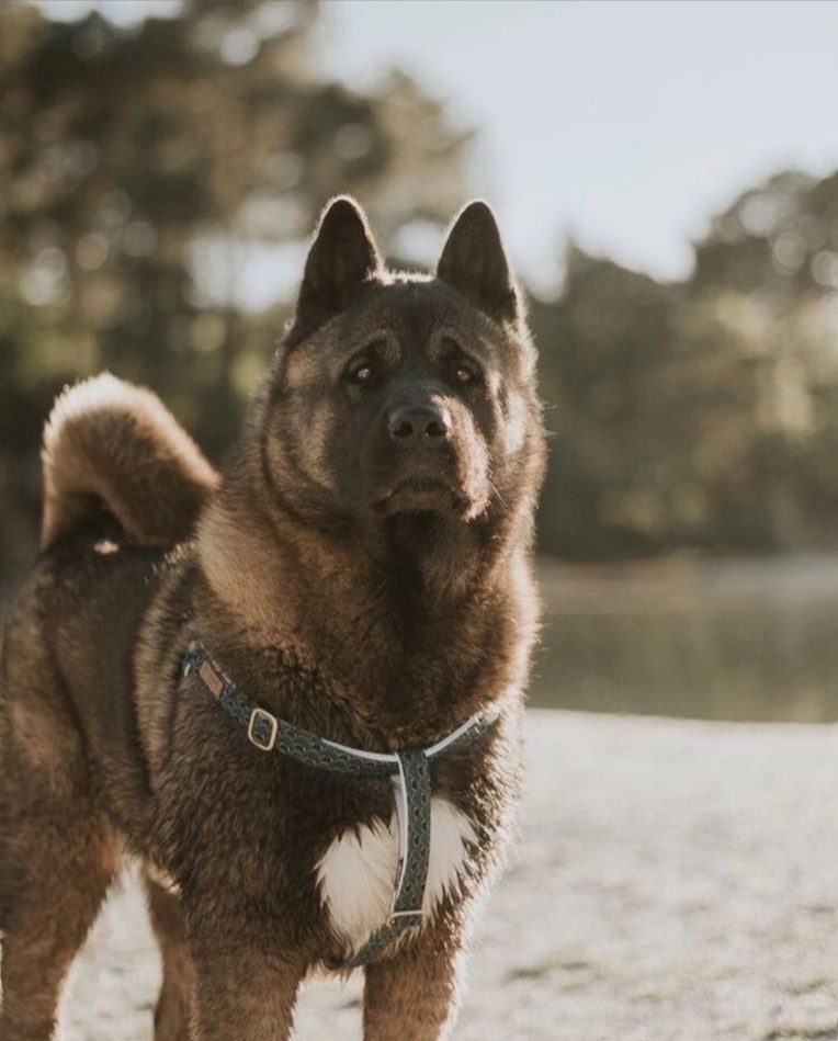 Жена по праву (СИ) - img_2