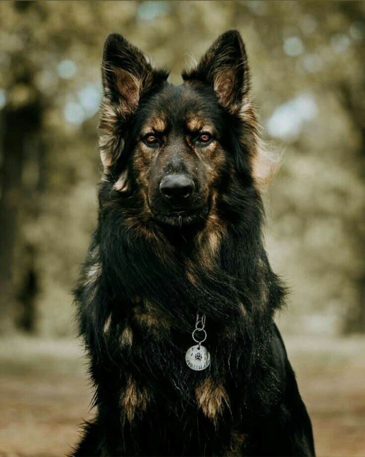 Жена по праву (СИ) - img_1