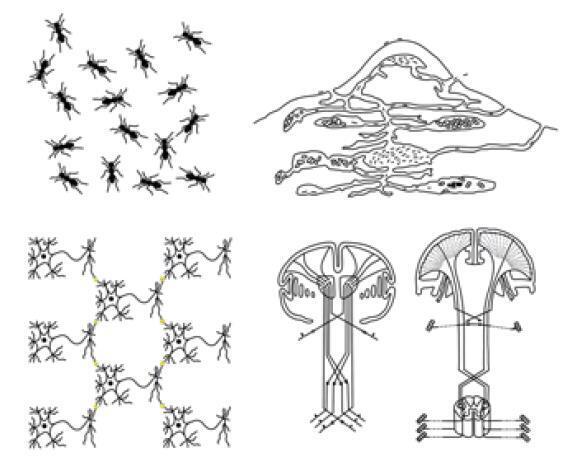 Машина мышления. Заставь себя думать - img_12