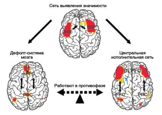 Машина мышления. Заставь себя думать - img_2