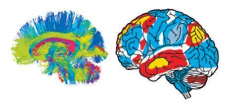 Машина мышления. Заставь себя думать - img_32