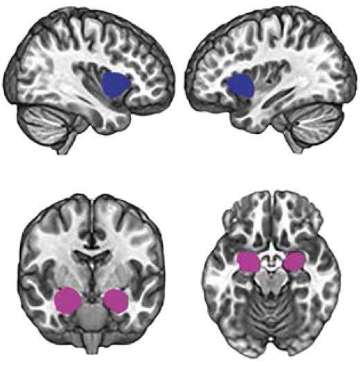 Машина мышления. Заставь себя думать - img_46