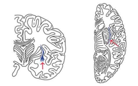 Машина мышления. Заставь себя думать - img_54