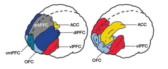 Машина мышления. Заставь себя думать - img_82