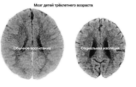 Машина мышления. Заставь себя думать - img_114