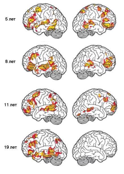Машина мышления. Заставь себя думать - img_124