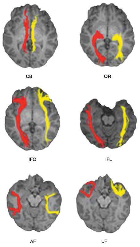 Машина мышления. Заставь себя думать - img_125