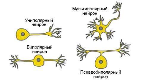 Машина мышления. Заставь себя думать - img_13