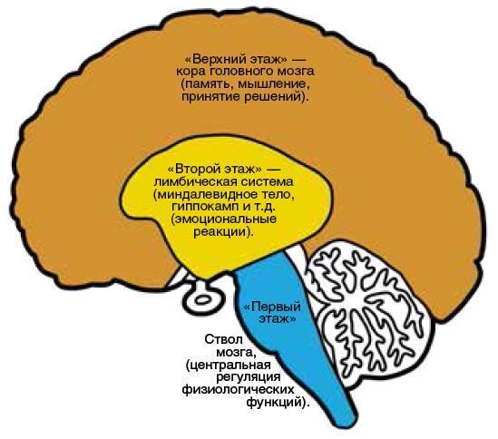 Машина мышления. Заставь себя думать - img_39