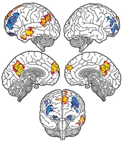 Машина мышления. Заставь себя думать - img_44