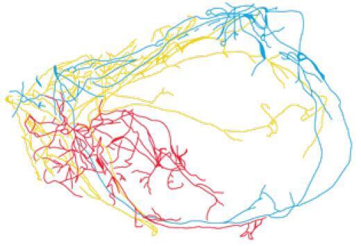Машина мышления. Заставь себя думать - img_56