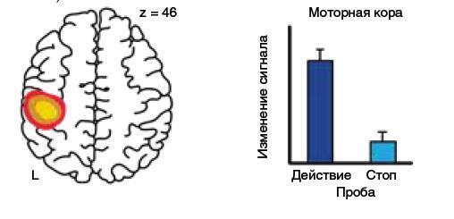 Машина мышления. Заставь себя думать - img_60