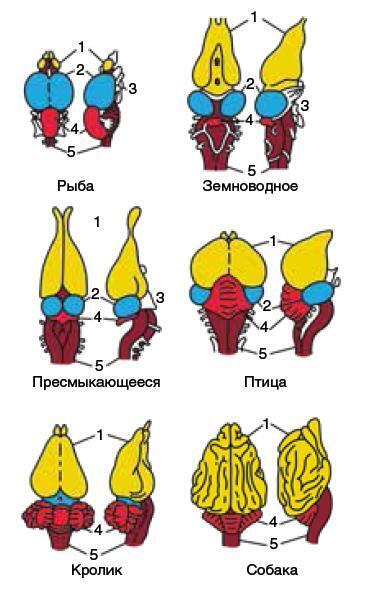 Машина мышления. Заставь себя думать - img_69