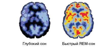 Машина мышления. Заставь себя думать - img_8