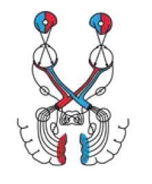 Машина мышления. Заставь себя думать - img_97