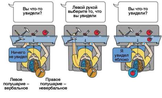 Машина мышления. Заставь себя думать - img_99