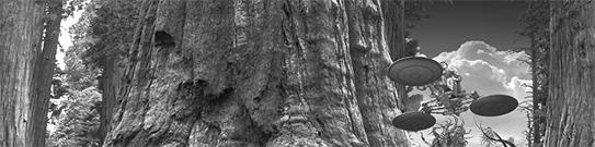 Очень Большой Лес. Том 1 - _01.jpg