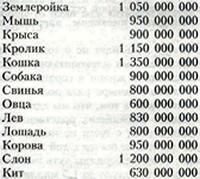 О времени, пространстве и других вещах. От египетских календарей до квантовой физики - imgFE3E.jpg