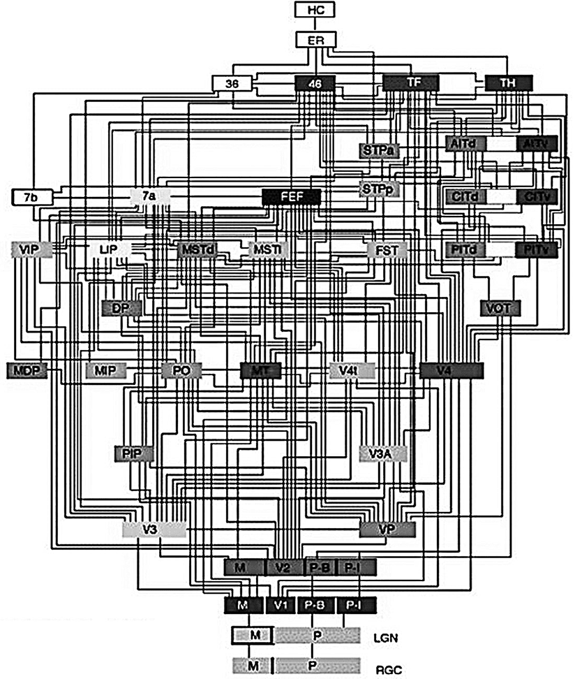 Комплект книг: Мышление. Системное исследование / Законы мозга. Универсальные правила / Психософический трактат - i_001.png