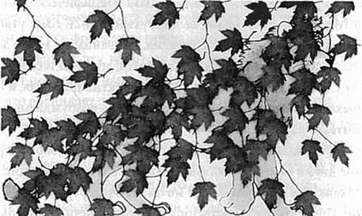 Комплект книг: Мышление. Системное исследование / Законы мозга. Универсальные правила / Психософический трактат - i_013.jpg