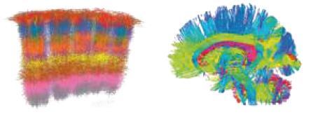 Комплект книг: Мозг и бизнес / Факт-карты для бизнеса. Эффективный инструмент решения задач / Стратегическое мышление в бизнесе. Технология «Векторное кольцо» - i_025.jpg