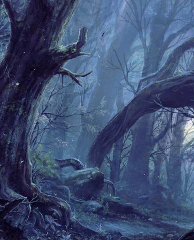 Наследник семьи Пак 5 (СИ) - img_14