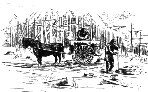 Сибирь в сердце японца - img_11