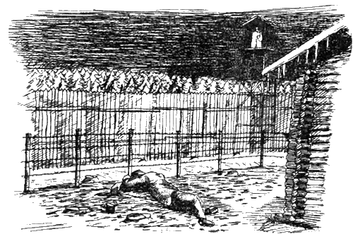 Сибирь в сердце японца - img_16