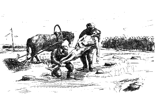 Сибирь в сердце японца - img_17