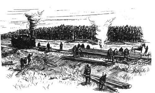 Сибирь в сердце японца - img_20