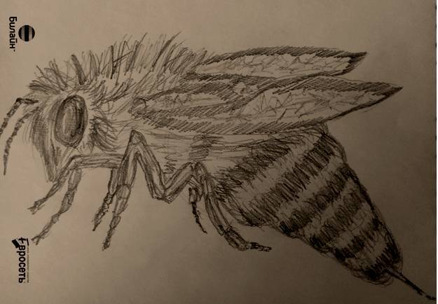 Маяк. Ученик (СИ) - img_14