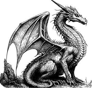 Тень дракона - i_001.jpg