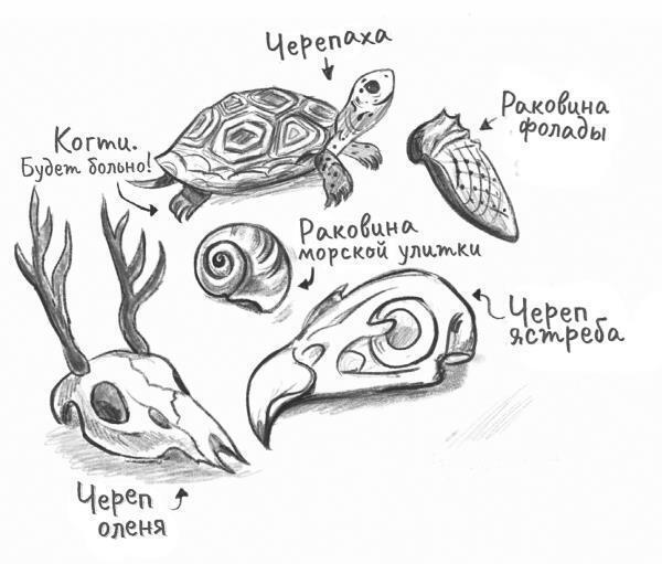 Островитяне (СИ) - i_006.jpg