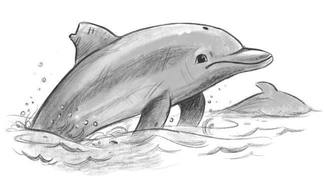 Островитяне (СИ) - i_016.jpg