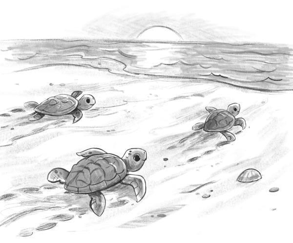 Островитяне (СИ) - i_017.jpg