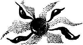 Фата-Моргана 5 (Фантастические рассказы и повести) - img_74.png