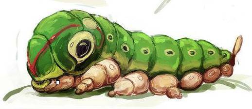 Покемон. Реальный мир (СИ) - img_23