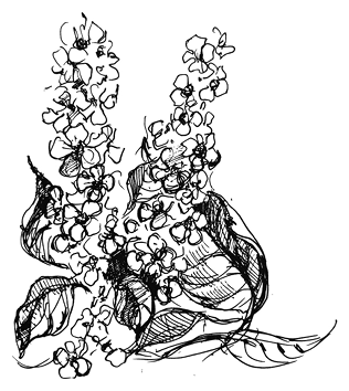 Ведьмин смех - i_004.png