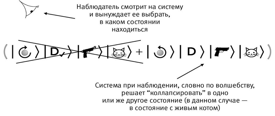 Это всё квантовая физика! Непочтительное руководство по фундаментальной природе всего - img_21