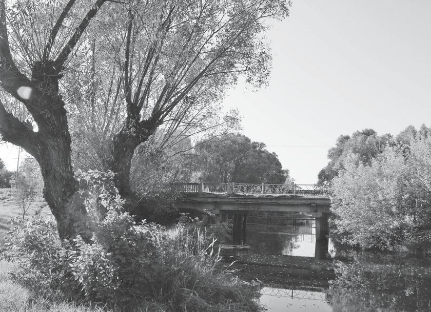 Потаённая Россия. От блинов до ухи: путешествие за рецептами и тайнами старых городов - i_010.jpg