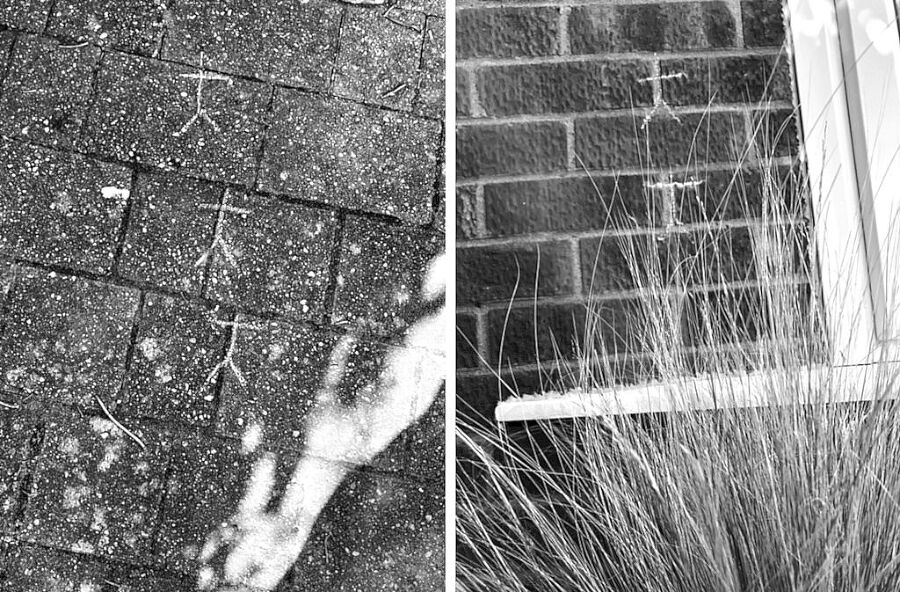 Хорошая девочка должна умереть - i_012.jpg