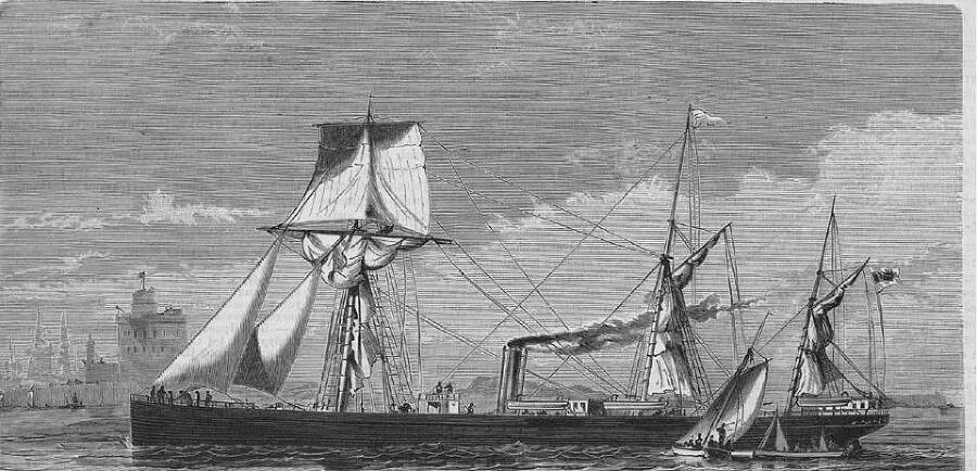 Здесь водятся драконы (СИ) - img_6