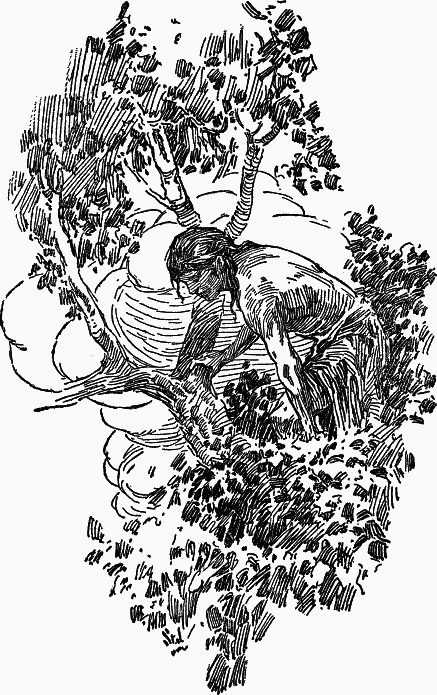 Тарзан из племени обезьян. Возвращение Тарзана. Тарзан и его звери (сборник) - _005.png