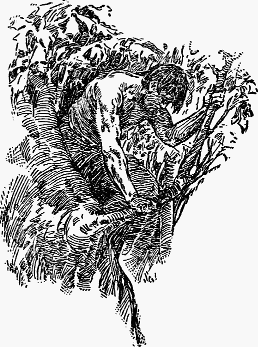 Тарзан из племени обезьян. Возвращение Тарзана. Тарзан и его звери (сборник) - _022.png