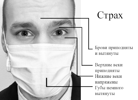 Прочитай меня. От бессознательных привычек к осознанной жизни - i_050.png