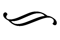 Воровка (ЛП) - img_2