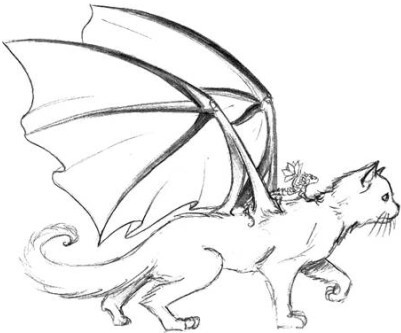 Всё о жизни чайных дракончиков - i000010580000.jpg